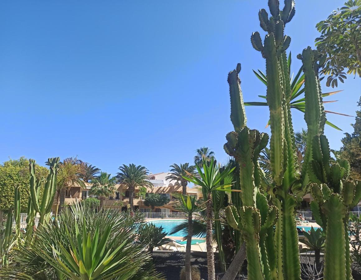 Apartament Elrincondesara Corralejo Zewnętrze zdjęcie